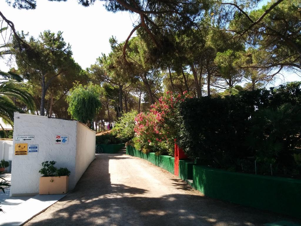 Campeggio La Mariposa Alghero Exteriör bild