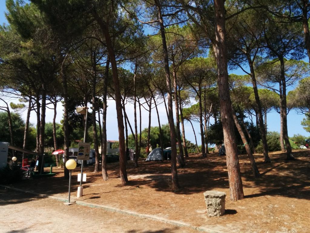 Campeggio La Mariposa Alghero Exteriör bild